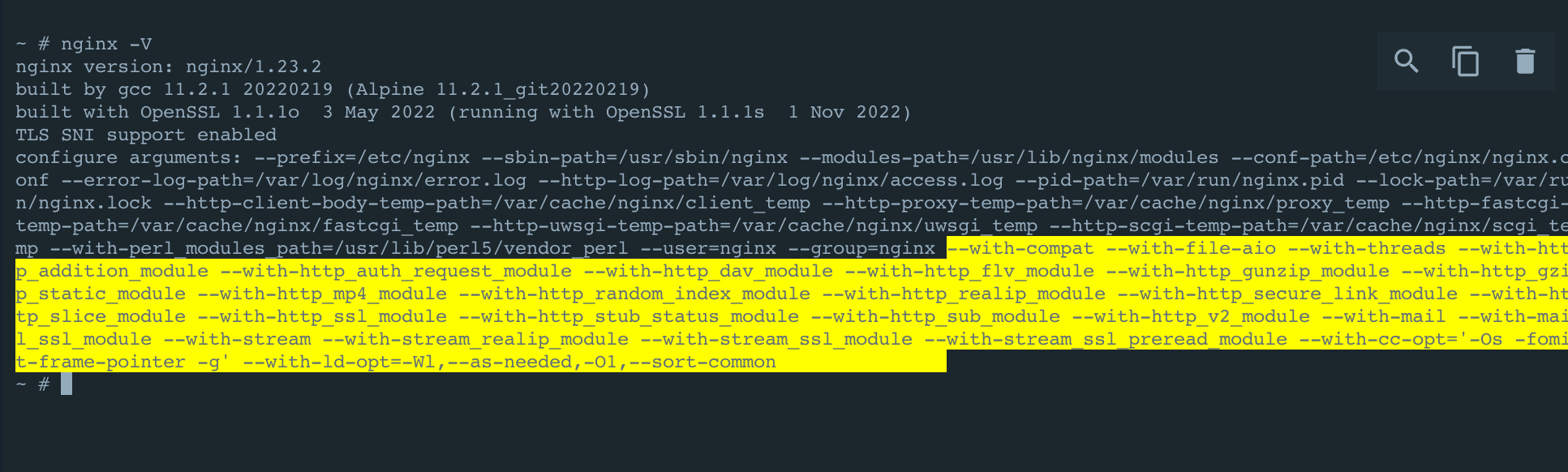 nginx configure default arguments