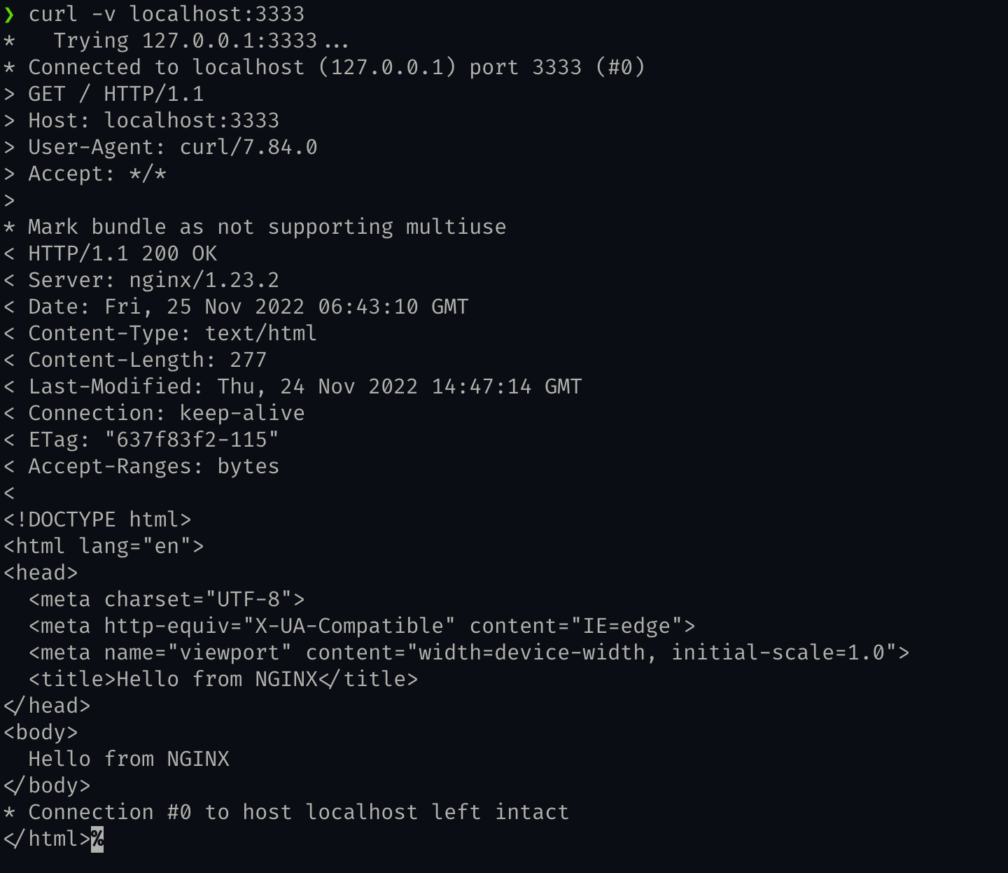 Static HTML file served from nginx